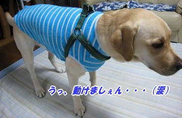 c0028792_21304830.jpg