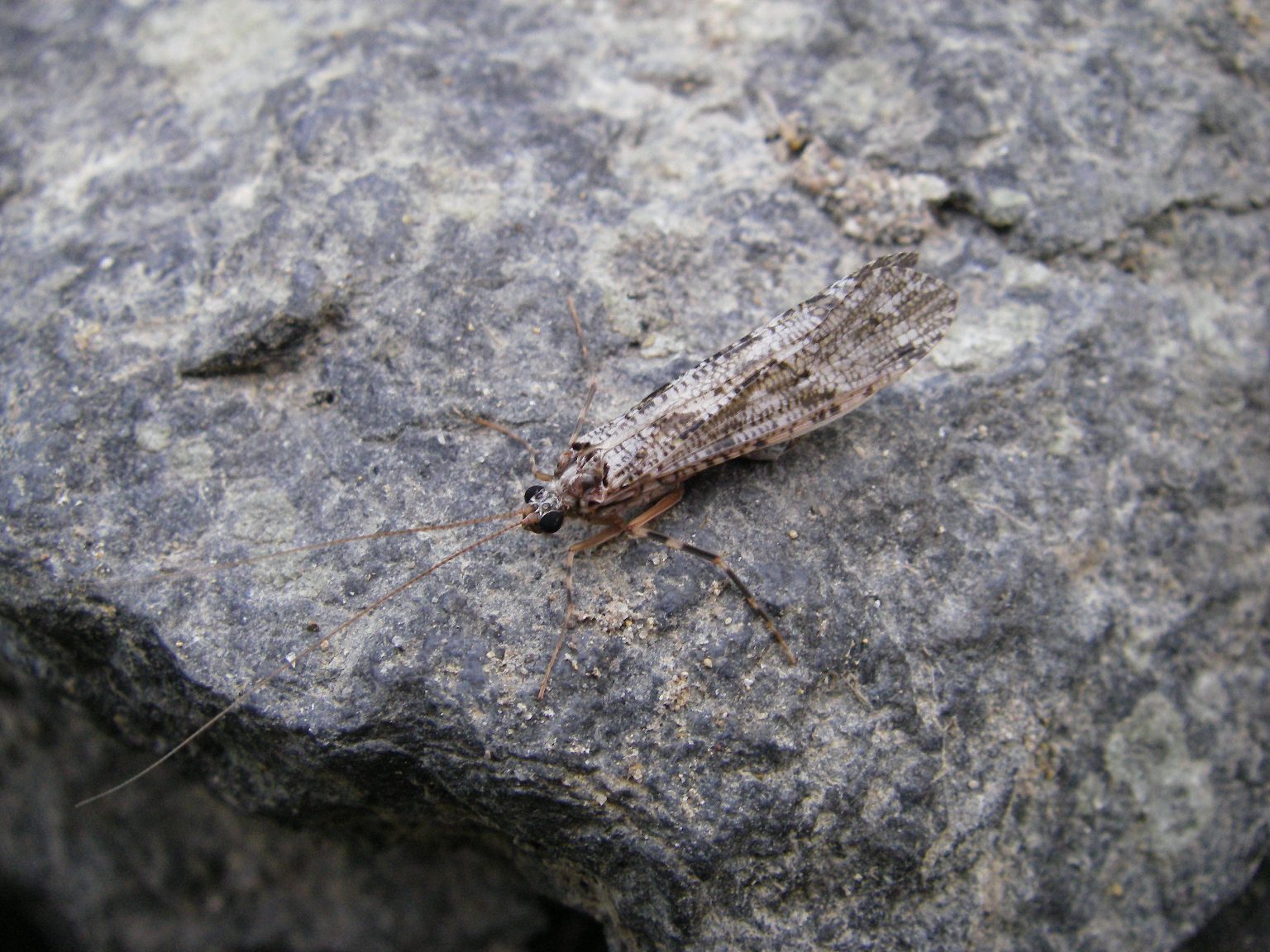 b0092694_9192294.jpg