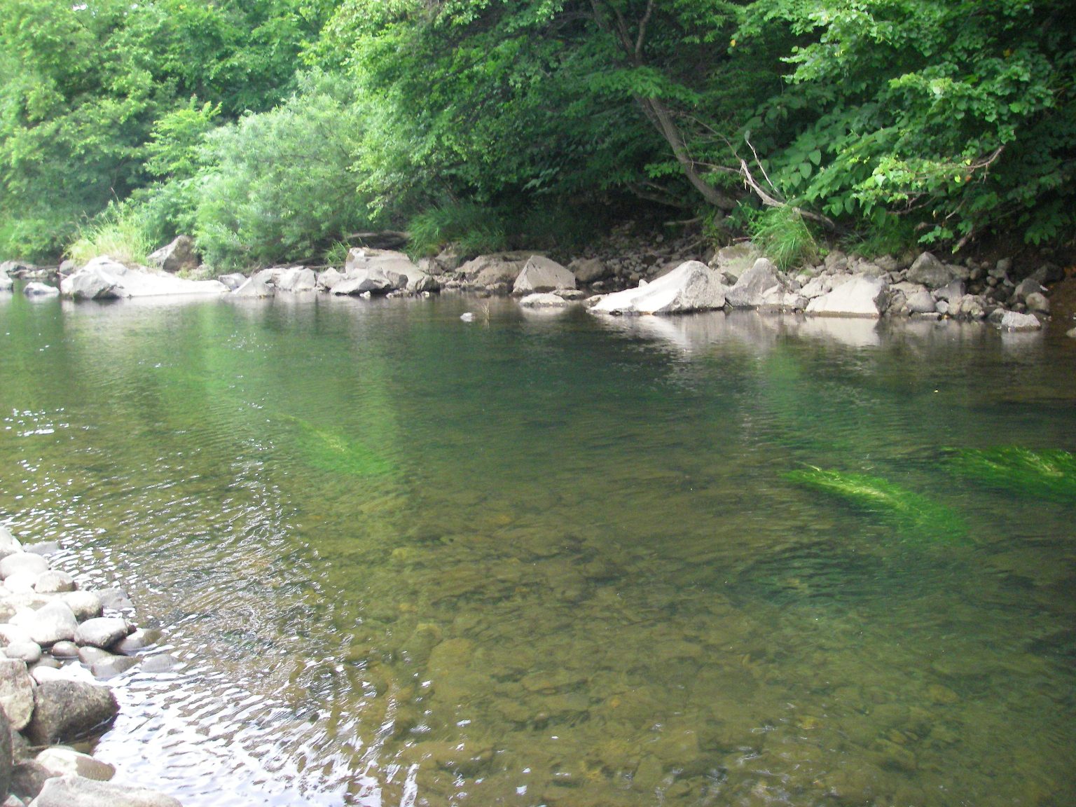 b0092694_9232131.jpg
