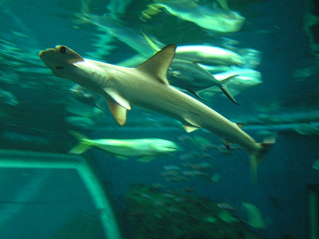 c0034595_14105072.jpg