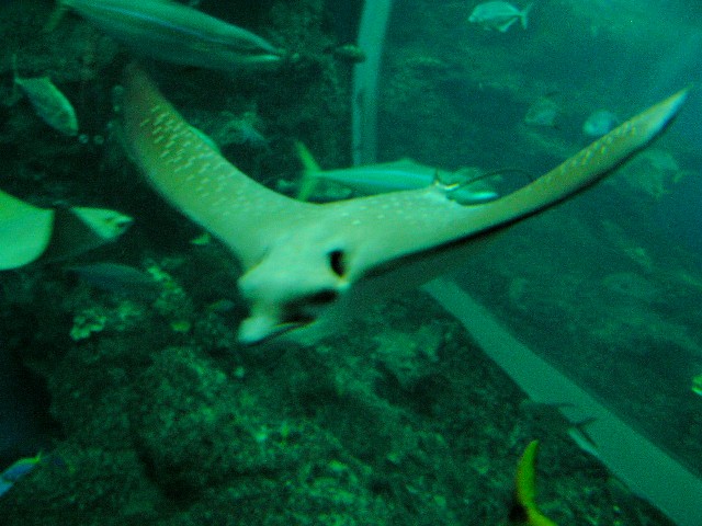 c0034595_14182836.jpg