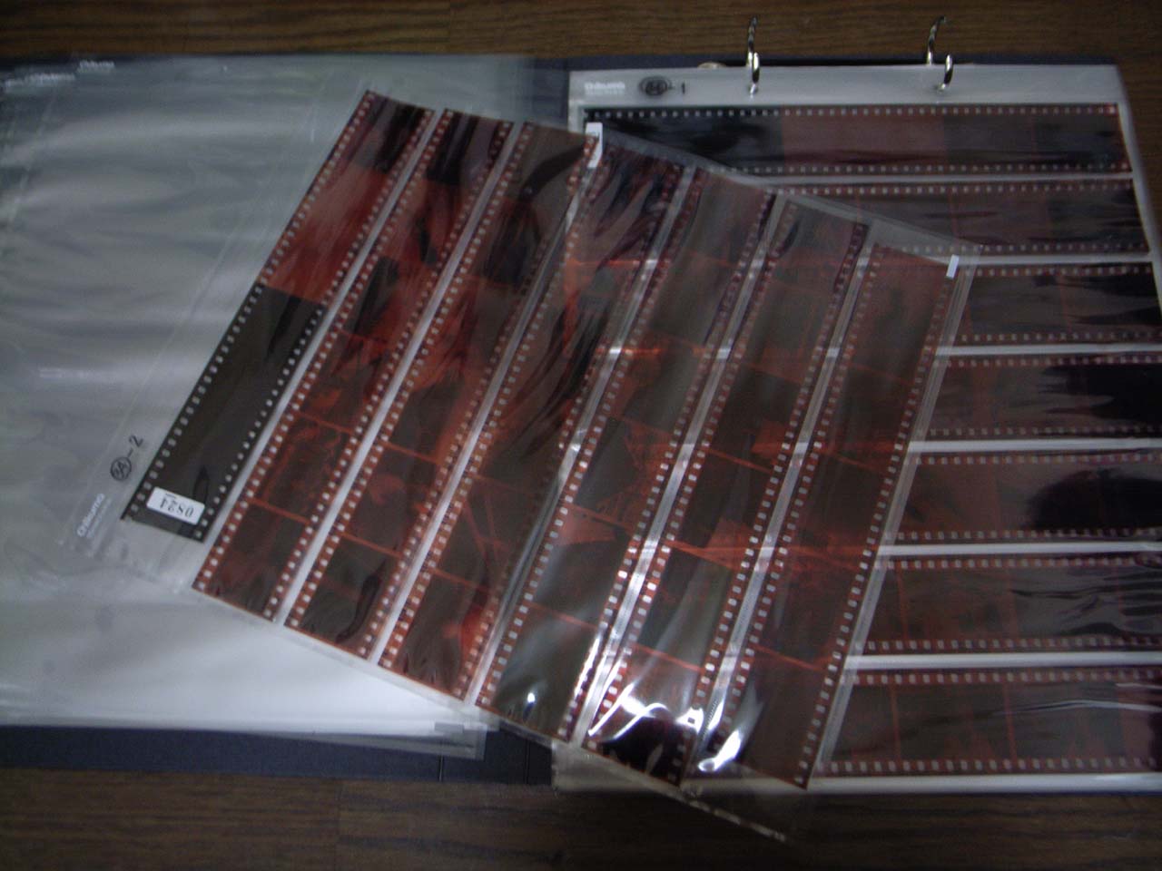 c0115203_1343316.jpg
