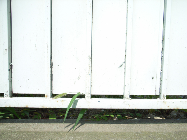 a0008508_21434248.jpg