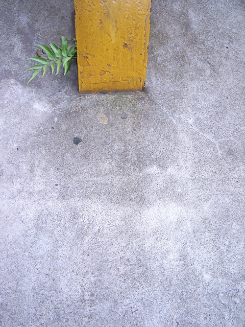 a0008508_21435669.jpg