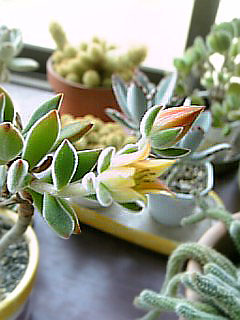 e0098908_2221454.jpg