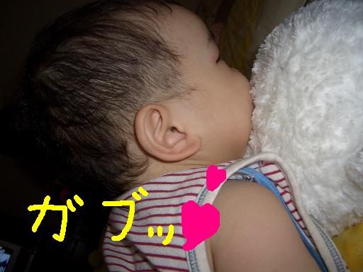a0065309_9541986.jpg