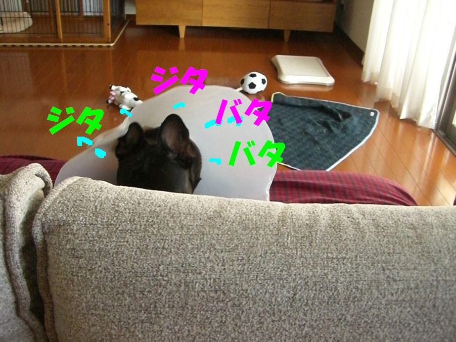 c0113109_1475166.jpg
