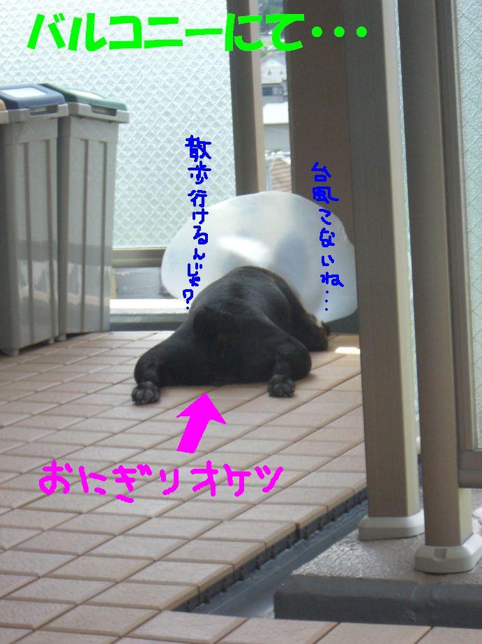 c0113109_1481892.jpg
