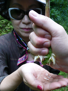 c0127909_13401654.jpg