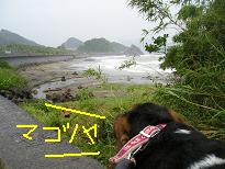d0104209_2012821.jpg
