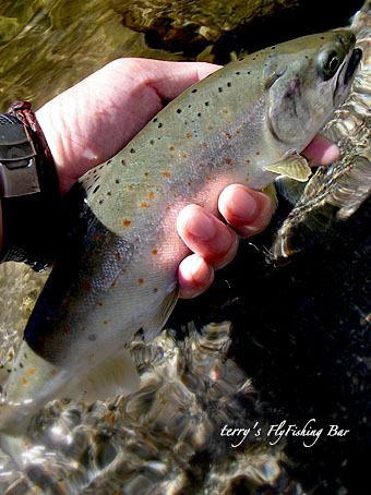 e0009009_21253083.jpg