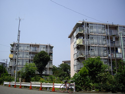 a0091314_3453372.jpg