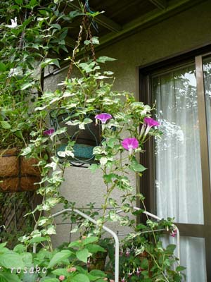 f0059818_22465017.jpg