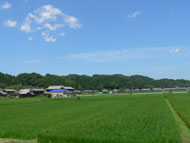 d0014524_1554772.jpg