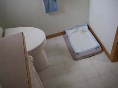 e0008833_11231316.jpg