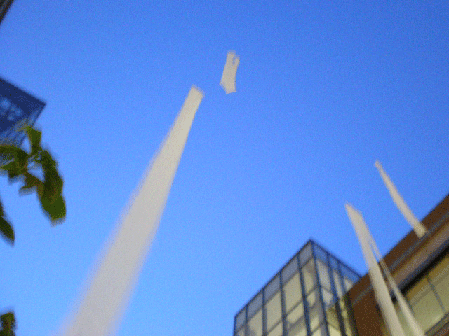 f0146634_1642312.gif