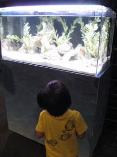 e0016135_2233559.jpg