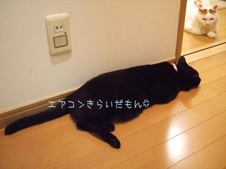 c0048042_230557.jpg