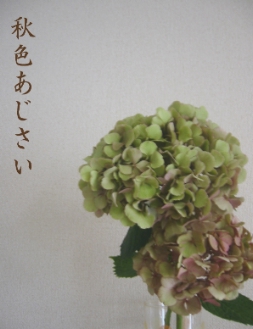 e0113944_2012582.jpg