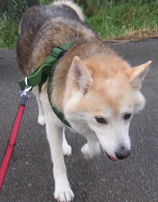 f0082855_2011299.jpg
