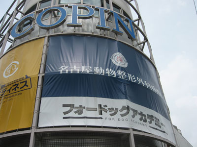 b0050356_21444025.jpg