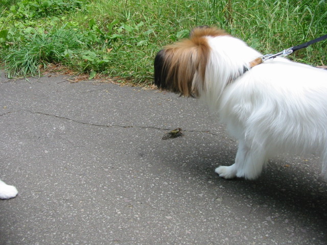 f0122259_2215286.jpg