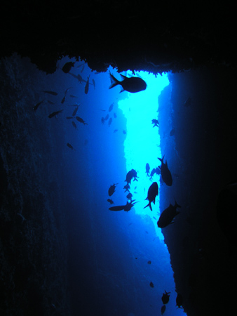 b0062363_2245581.jpg