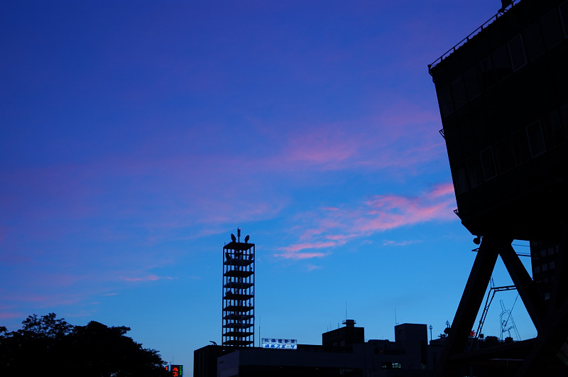 c0084666_1863556.jpg