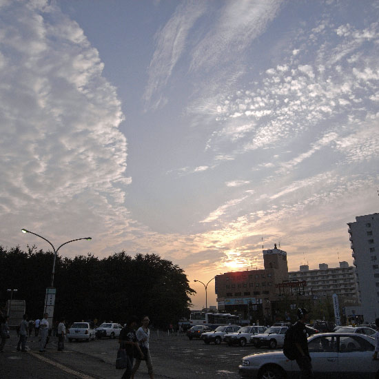 e0100772_2385188.jpg