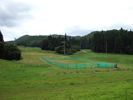 b0032175_15374711.jpg