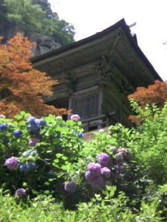 d0064076_1364983.jpg