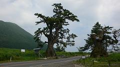 b0042882_10304977.jpg