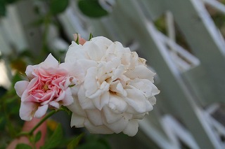 e0024385_13505881.jpg