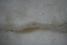 e0096485_10215616.jpg