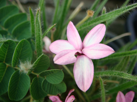f0146493_9254155.jpg