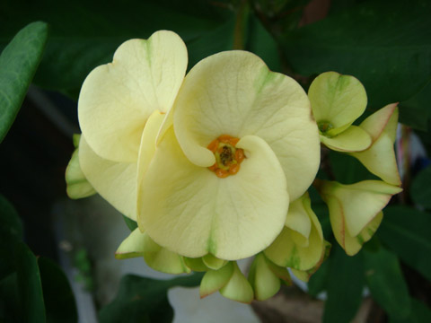 f0146493_9261374.jpg