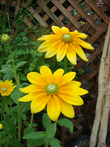 f0146493_9264144.jpg