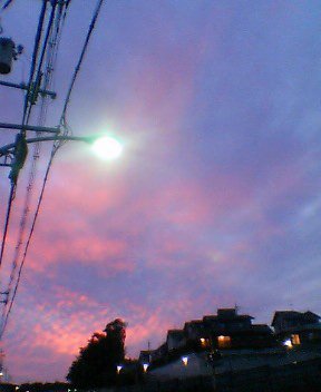 e0051194_1031067.jpg