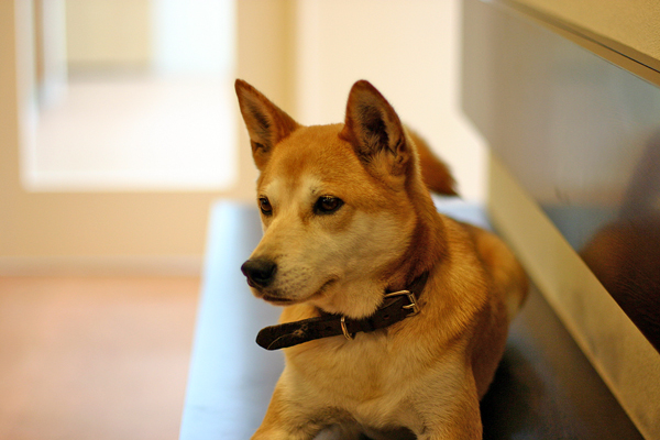 f0001895_2010689.jpg