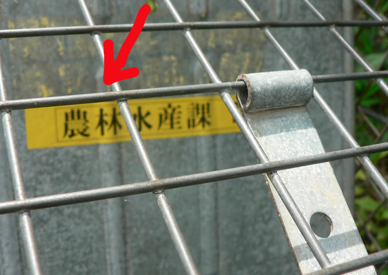 c0128896_14331212.jpg