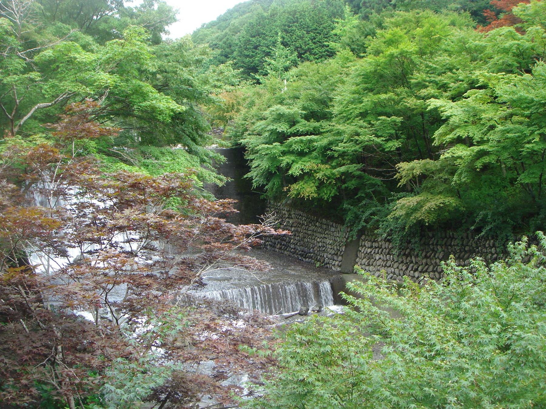 e0112098_13465142.jpg