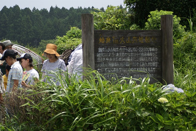 b0049200_20162887.jpg