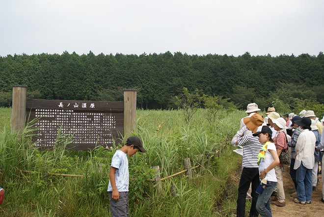 b0049200_20224091.jpg