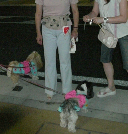 e0050801_2345107.gif