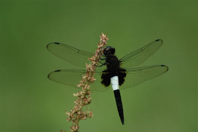d0043211_0255937.jpg
