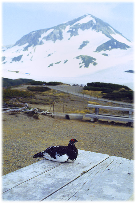 e0065734_056327.jpg