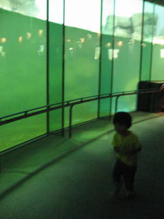 e0016135_7483165.jpg