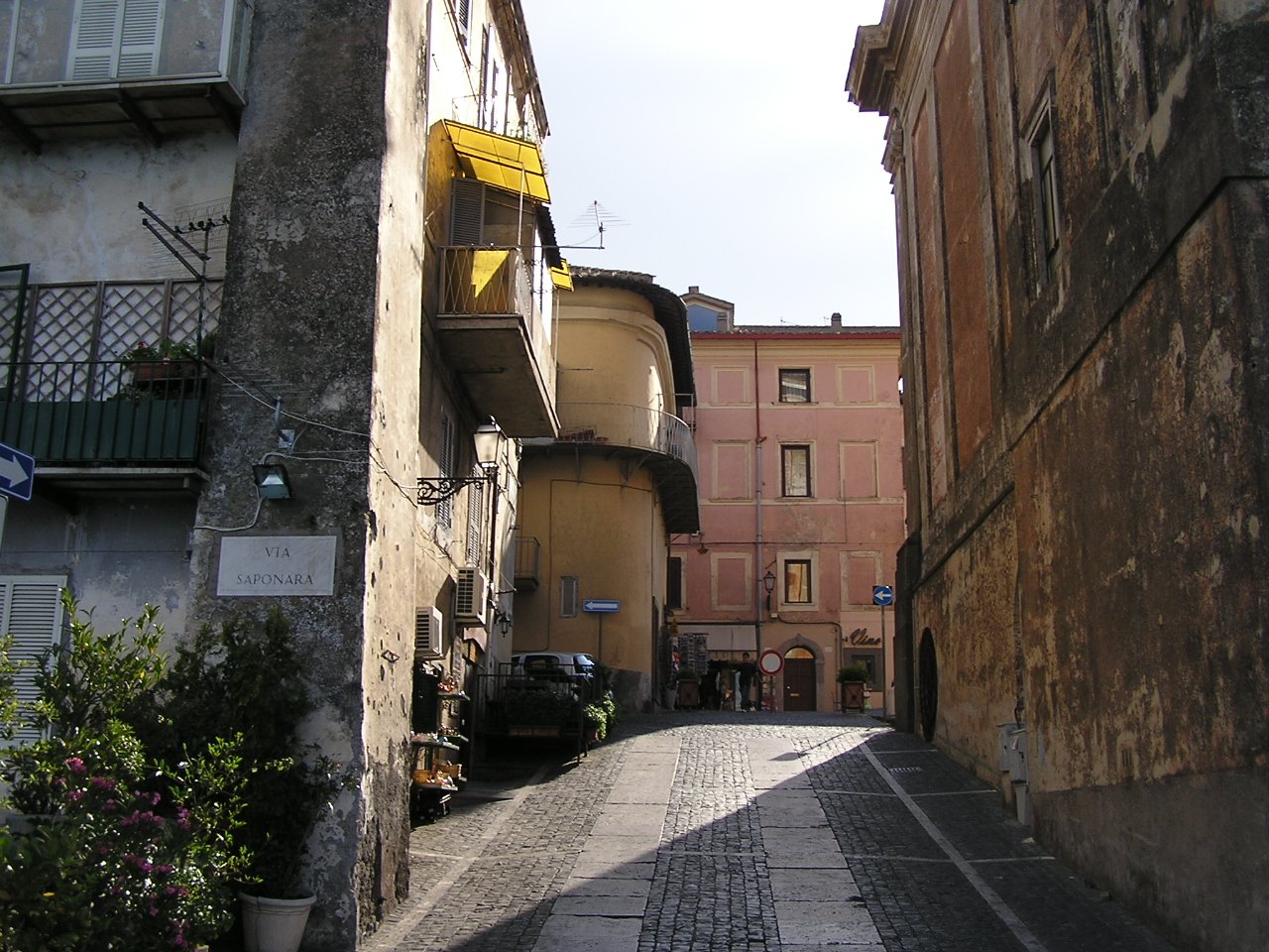 b0016836_1030127.jpg