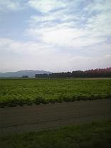 c0108336_22491078.jpg