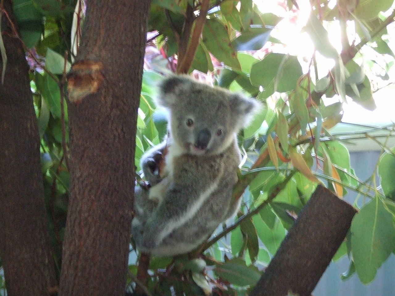 c0127058_23595389.jpg